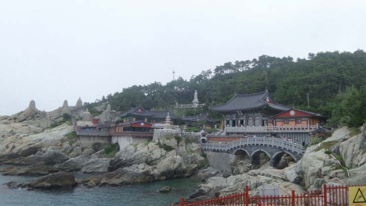 해동 용궁사 탐방 및 탐방중에 만난 야생화!! : 네이버 블로그