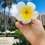 [괌 호텔] 더할나위없이 좋았던 괌 호텔 : 하얏트리젠시 괌 오션프론트룸(HYATT REGENCY GUAM)