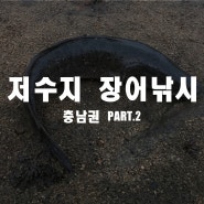 충남권 저수지 장어낚시 우중전 Part.2