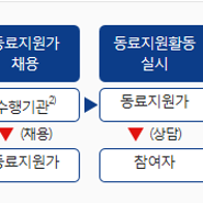 중증장애인 지역맞춤형 취업지원