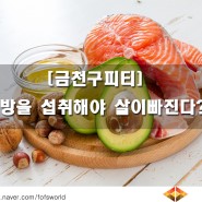 [금천구 다이어트] 지방을 섭취해야 살이 빠진다?!