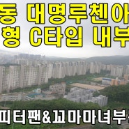 호평동 대명루첸 아파트 꼬마마녀 부동산TV촬영현장
