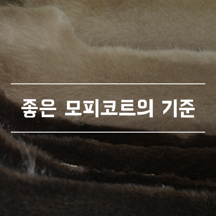 좋은 모피코트의 기준 : 네이버 블로그