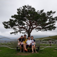여든한번째 캠핑 - 도사곡 휴양림 (2019.07.28~30) + 타입캡슐공원