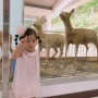 수안보 한국전력공사 생활연수원 수족관, 동물원 / 충주여행