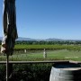 가을의 와이너리 69 - 호주 와이너리는 점점 중국 자본으로 잠식되어가는 듯한 느낌.... Green/Blue Stone Wines-Yarra Valley,Victoria,호주
