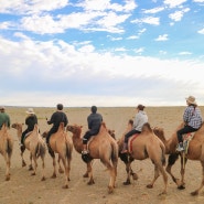 [몽골여행] 다섯째날: 낙타를 타고 파아란 하늘 바라보기