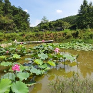 김포 봉바위농원,봉바위농원,피크닉,김포가볼만한곳,시골집에 온듯 정겨움이 있는곳,여름엔 물놀이만큼 좋은게 없지요