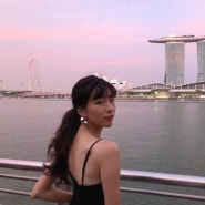 2019 싱가포르 내셔널데이 불꽃놀이 - 프리뷰, 싱가폴 ,명당찾기