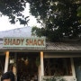 짱구 비건카페, 쉐이디 쉑(shady shack) 최고 존엄 당근케이크가 있어요...