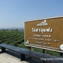 [태국자동차여행]치앙라이 추이퐁 녹차농장