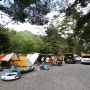 [영월 캠핑] 소나무와계곡 캠핑장... 백만년만의 캠핑 [19.08.03~05]