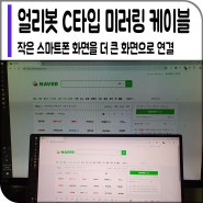 [얼리봇] C타입 미러링 케이블 SGV-200, 작은 스마트폰 화면을 더 큰 화면으로 연결