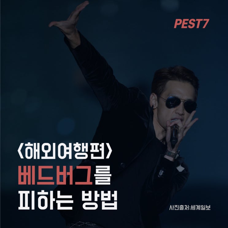 빈대 베드버그 유럽여행시 피하는 방법 : 네이버 블로그