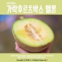 과일택배 '가락후르츠박스 멜론' 신선함이 짱!!