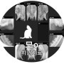 모ㅇ, 치과치료 [제주 나음동물병원]