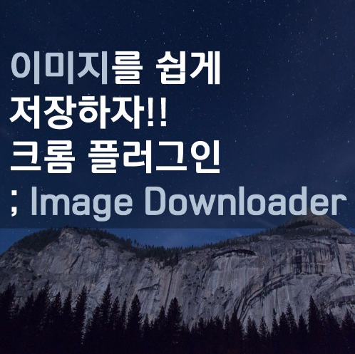 웹 안의 이미지 쉽게 저장하기![크롬 플러그인 : Image Downloader] : 네이버 블로그