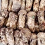 자연산 송이버섯 판매시작 이보푸드