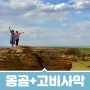 [여행편지] 몽골과 고비사막에서 온 편지