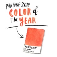 2019 Hot Colors | 2019년, 올해의 컬러는?