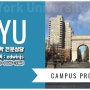 뉴욕대학교 New York University (NYU) 미국유학 정보