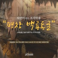 천연기념물 자연의신비 백룡동굴탐험