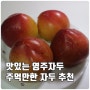 영주자두 내돈주고산 맛있는 자두 추천, 자두 크기가 주먹만해요 ㅎㅅㅎ! 여름엔 달고 맛있는 자두 먹기