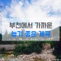 경기도 부천 근교 물놀이 계곡 / 수심깊고 놀기 좋은 포천 계곡 추천!