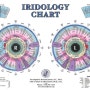 [의학] 홍채진단법(Iridology)은 무엇인가?