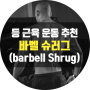 바벨 슈러그 ( barbell Shrug ) 등 근육 운동 추천 / 승모근 운동