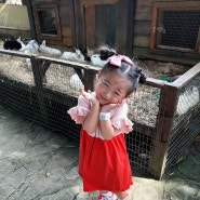 쿠알라룸푸르 아이들과 여행, 동물원가기 :: 국립동물원 Zoo Negara, Farm in the city