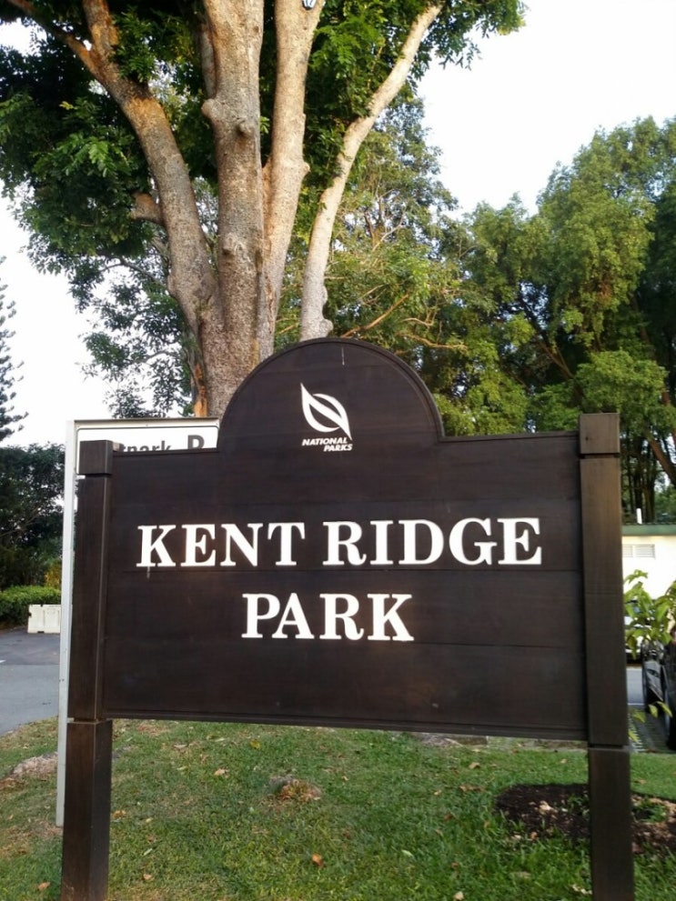 [1년 전 오늘] 싱가포르공원 켄트 리치 파크 Kent Ridge Park 에서 트래킹....