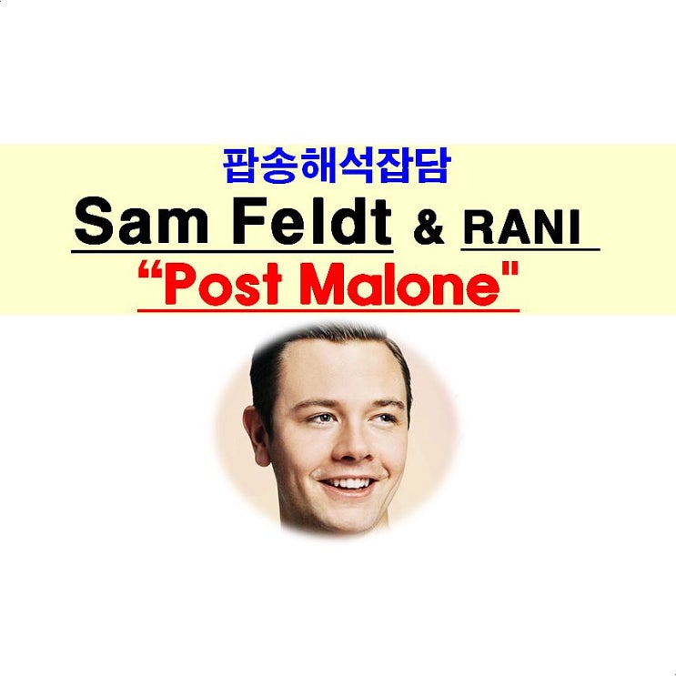 팝송해석잡담::Sam Feldt+RANI 
