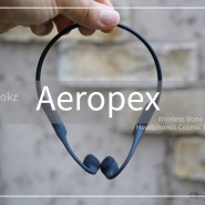 애프터샥 에어로펙스 Aeropex AS800 골전도 블루투스 헤드폰 리뷰