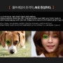 [소니 알파] [Powered by AI] 반려동물 & 인물 촬영 세미나(청주) 촬영
