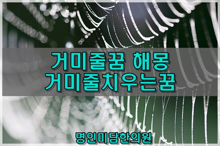 거미줄꿈해몽 거미줄치우는꿈 : 네이버 블로그