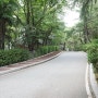 주말 나들이 홈플러스에서 점심 먹고 인천 수봉공원 산책~
