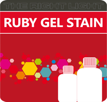 Cyanagen RUBY GEL STAIN, FLUORESCENT PROTEIN GEL STAINING : 네이버 블로그