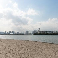 '도쿄올림픽 개최' 오다이바 공원, 수질 악화로 오픈워터 수영 경기 취소 - 스포츠W