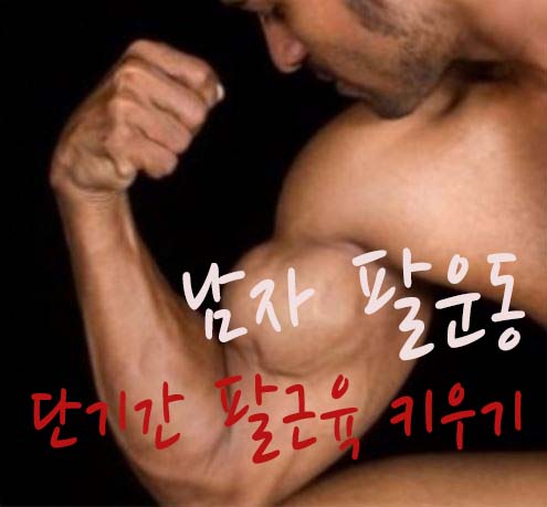 남자팔운동 단기간 팔근육 키우는 방법 : 네이버 블로그