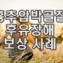 흉추압박골절 후유장해 보상 사례