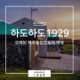 이색적인 제주독채펜션 하도하도1929