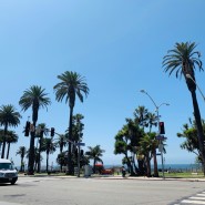 LA 여행 LA 산타모니카 해변 주차 꿀팁 & 필즈 커피 Philz coffee의 민트 , 로즈 라떼