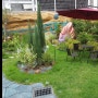 대구 CAFE INI 정원 시공 2 테마파크 컨셉에 어울리는 정원 완성