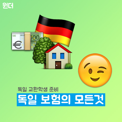 [교환학생 일기 11.] [카드뉴스] 독일 교환학생 보험 종류 비교하기 : 공보험 | 사보험 | 국내보험 : 네이버 블로그
