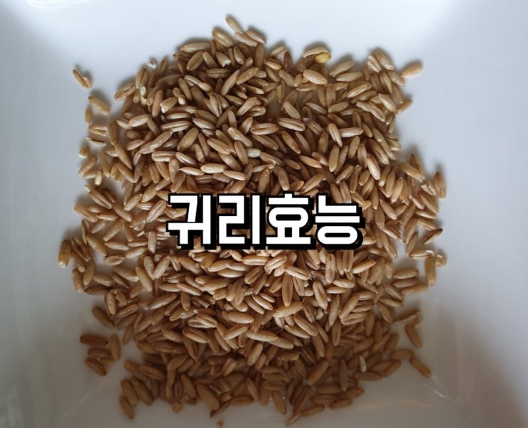 귀리효능 정읍명품귀리 귀리먹는법 : 네이버 블로그