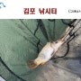김포 낚시터 물반 고기반