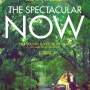 스펙타큘라 나우(The Spectacular NOW)-영화는 수준 높은 솔직 담백한 청춘 백서! 쉐일린 우들리, 마일즈 텔러, 브리 라슨을 모두 싫어하기에... 내게는 그닥 ㅠ.