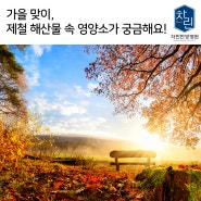 가을 맞이, 제철 해산물 속 영양소가 궁금해요!