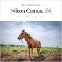 미러리스 카메라 니콘 Z6 - 이호테우해변 여행 사진
